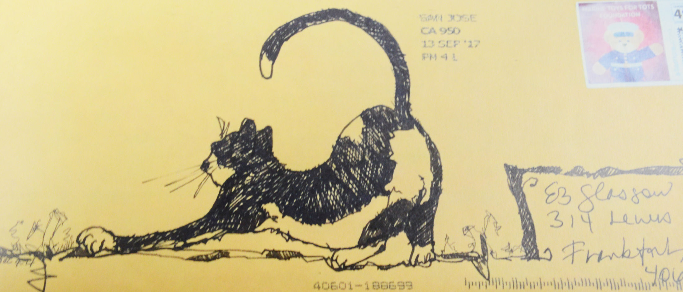 FOCUS: Cat stretch